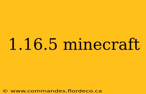 1.16.5 minecraft