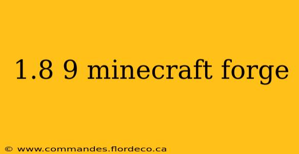 1.8 9 minecraft forge