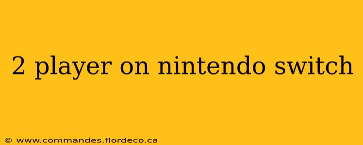 2 player on nintendo switch