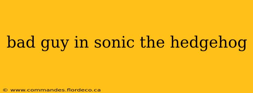 bad guy in sonic the hedgehog