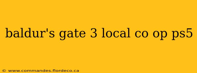 baldur's gate 3 local co op ps5