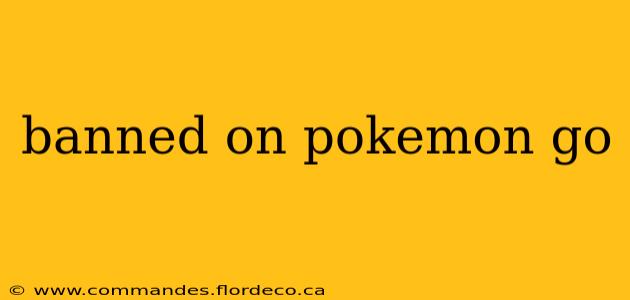 banned on pokemon go