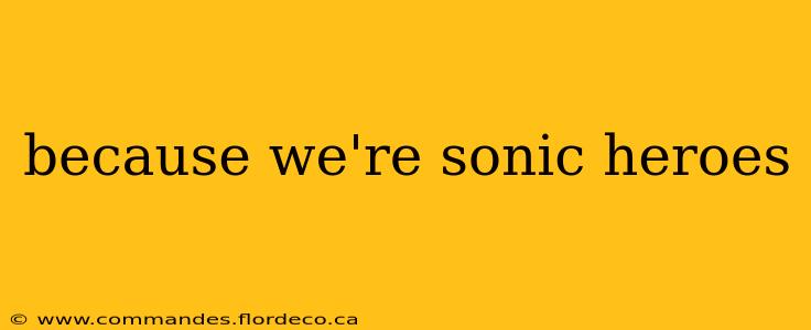 because we're sonic heroes