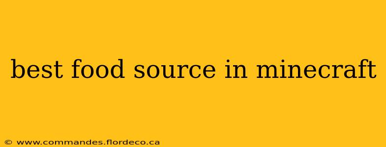 best food source in minecraft