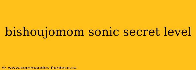 bishoujomom sonic secret level