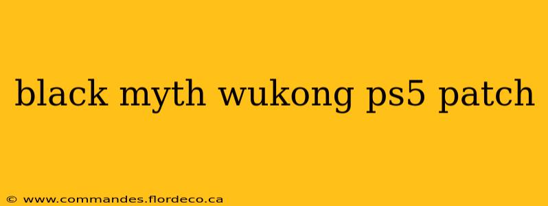 black myth wukong ps5 patch