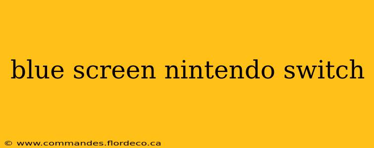 blue screen nintendo switch