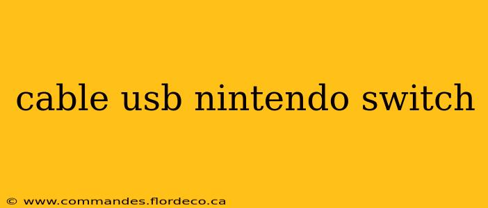 cable usb nintendo switch