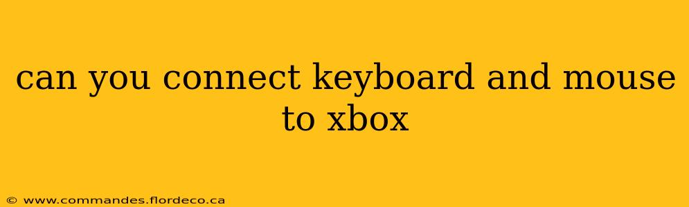 can you connect keyboard and mouse to xbox
