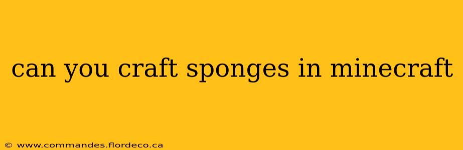 can you craft sponges in minecraft