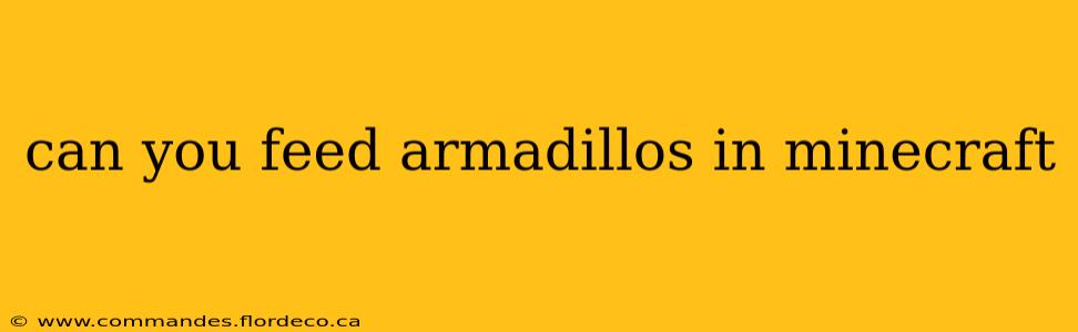 can you feed armadillos in minecraft