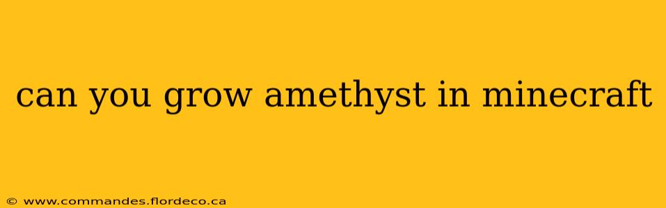 can you grow amethyst in minecraft
