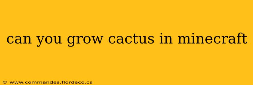 can you grow cactus in minecraft