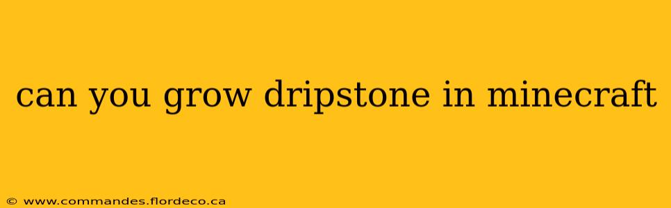 can you grow dripstone in minecraft