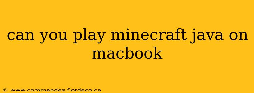 can you play minecraft java on macbook