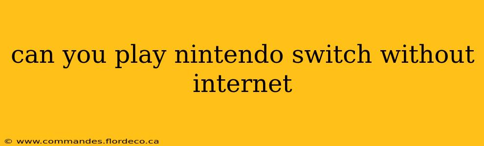 can you play nintendo switch without internet