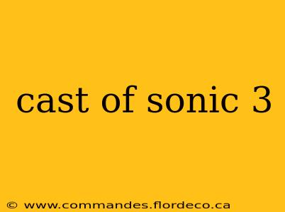cast of sonic 3
