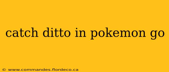 catch ditto in pokemon go