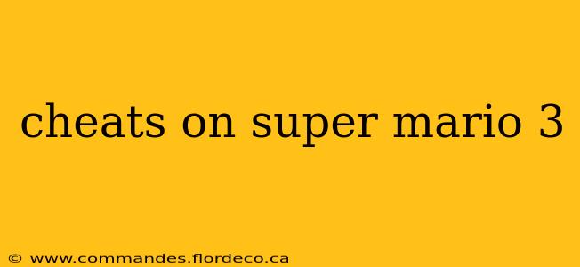 cheats on super mario 3