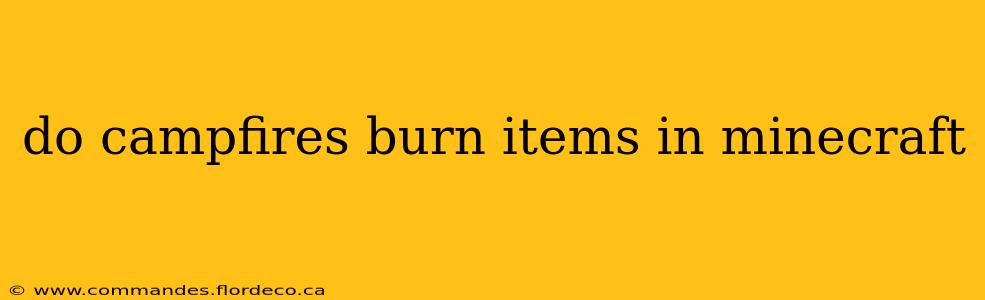 do campfires burn items in minecraft
