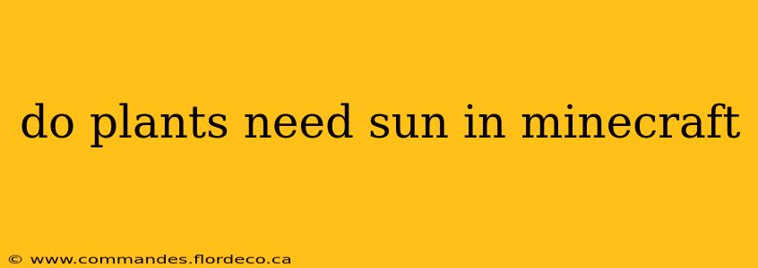 do plants need sun in minecraft