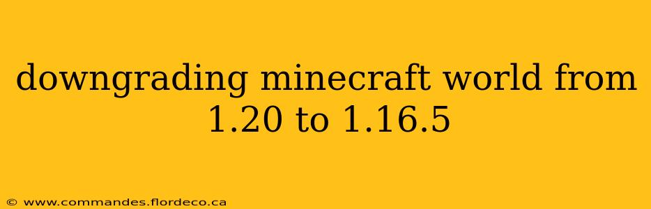 downgrading minecraft world from 1.20 to 1.16.5