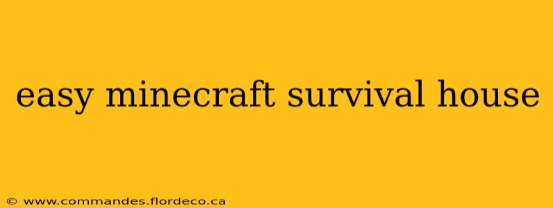 easy minecraft survival house
