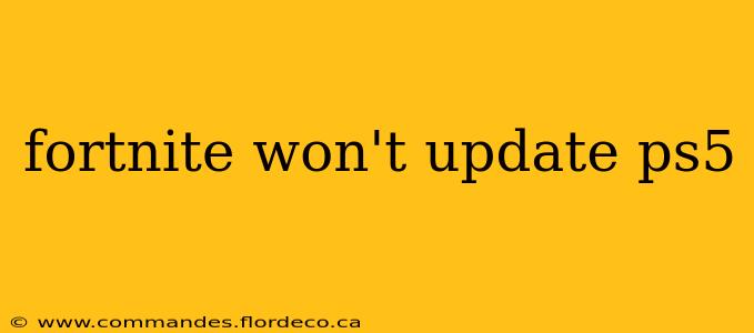 fortnite won't update ps5
