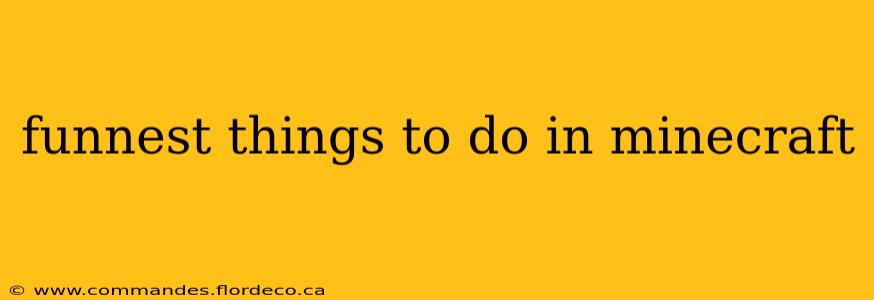 funnest things to do in minecraft
