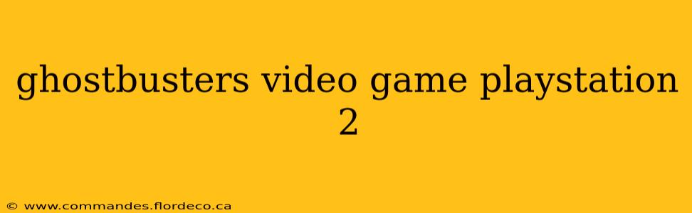 ghostbusters video game playstation 2