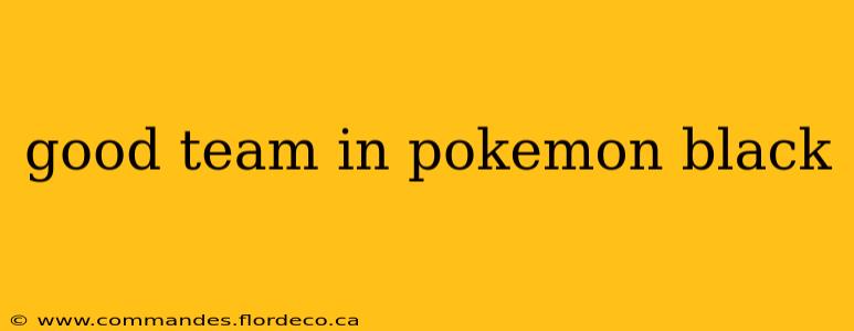 good team in pokemon black