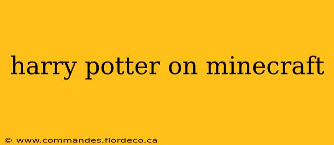 harry potter on minecraft