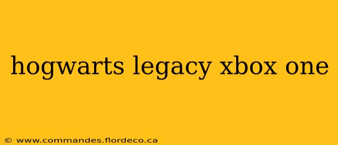 hogwarts legacy xbox one
