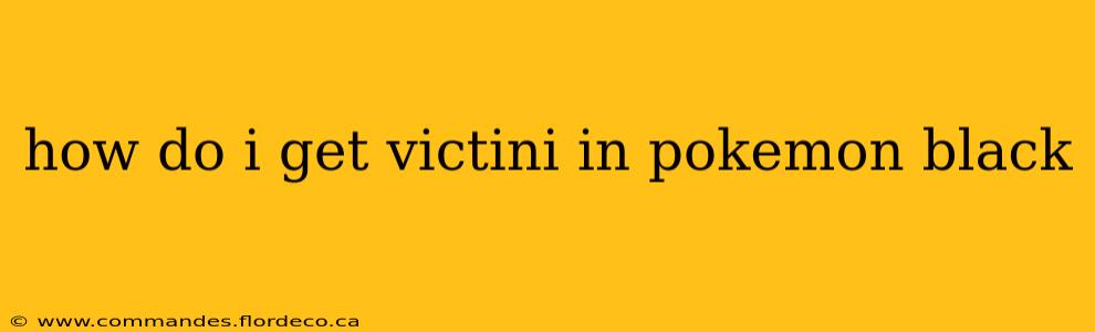 how do i get victini in pokemon black
