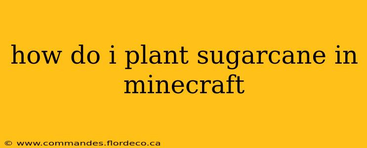 how do i plant sugarcane in minecraft