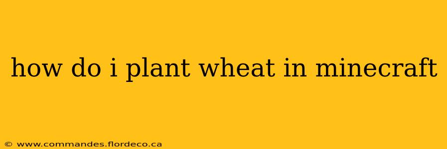 how do i plant wheat in minecraft