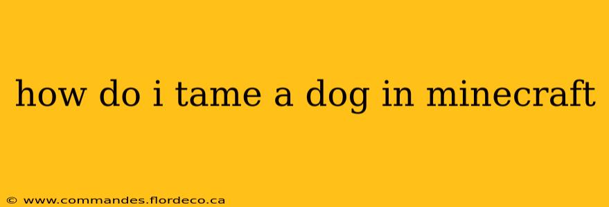 how do i tame a dog in minecraft
