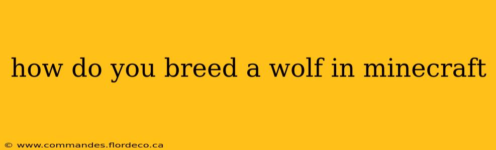 how do you breed a wolf in minecraft
