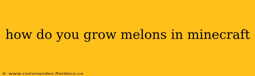 how do you grow melons in minecraft