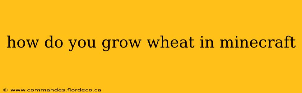 how do you grow wheat in minecraft