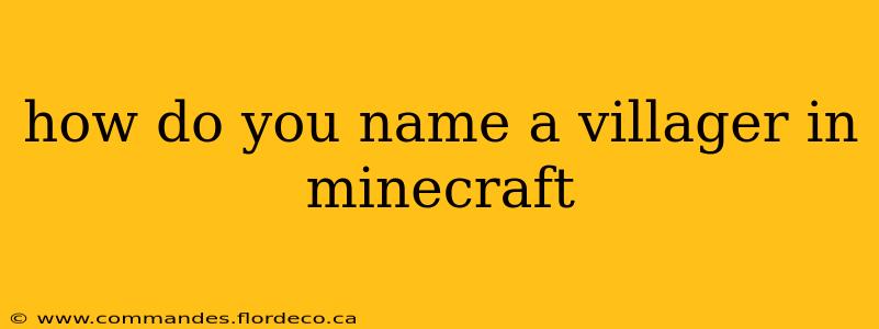 how do you name a villager in minecraft