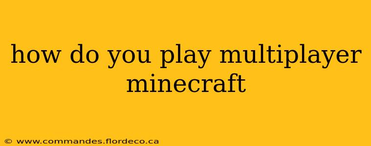 how do you play multiplayer minecraft