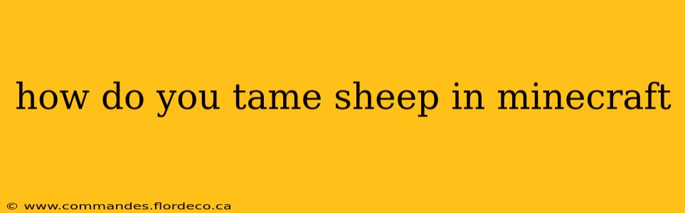 how do you tame sheep in minecraft