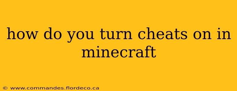 how do you turn cheats on in minecraft