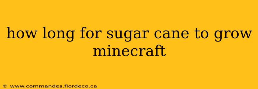 how long for sugar cane to grow minecraft