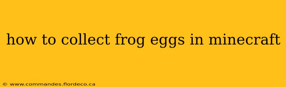 how to collect frog eggs in minecraft