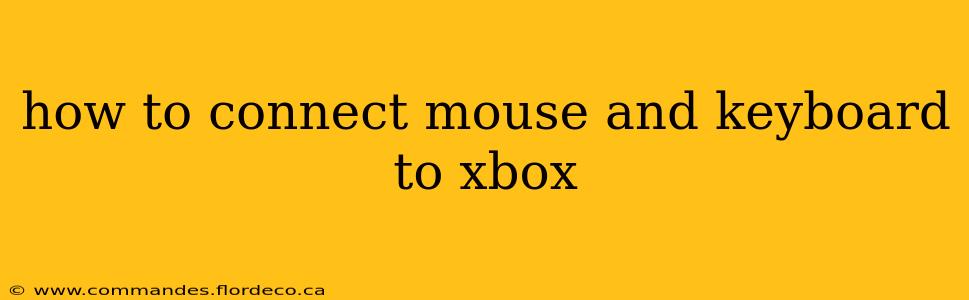 how to connect mouse and keyboard to xbox