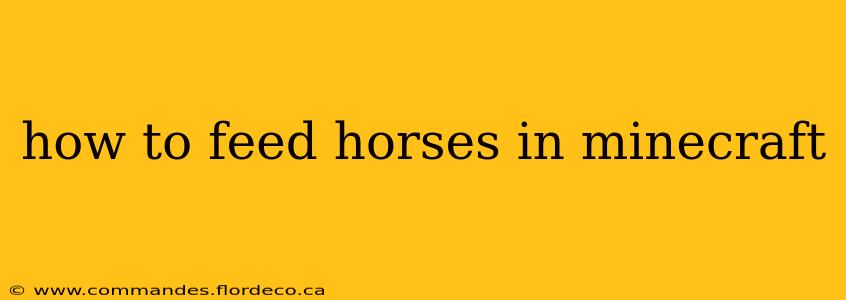 how to feed horses in minecraft