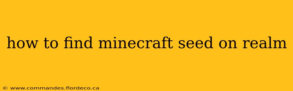 how to find minecraft seed on realm