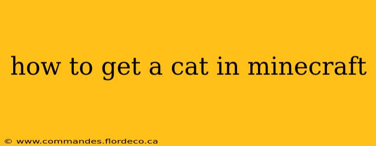 how to get a cat in minecraft